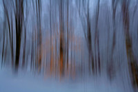 Arts Photography