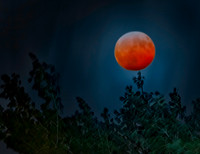 Blood Moon Jan 2019