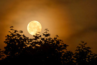 Strawberry Moon 2025