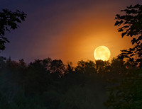 Strawberry Moon 2025