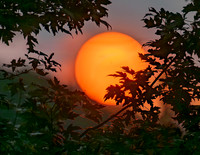 Setting Sun Glow