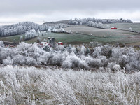 DECEMBER
