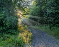 Sunbeams, Speculator NY