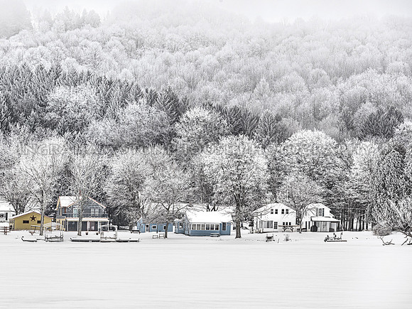 FEBRUARY