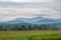 Whiteface in the Background