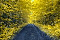 Road Infrared