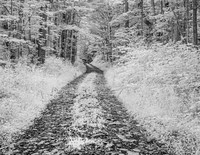 Truck Trail Infrared