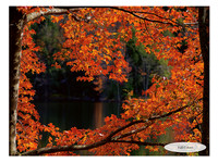 October