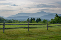 Whiteface and fence