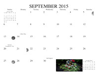 Calendar Month 8.5x11
